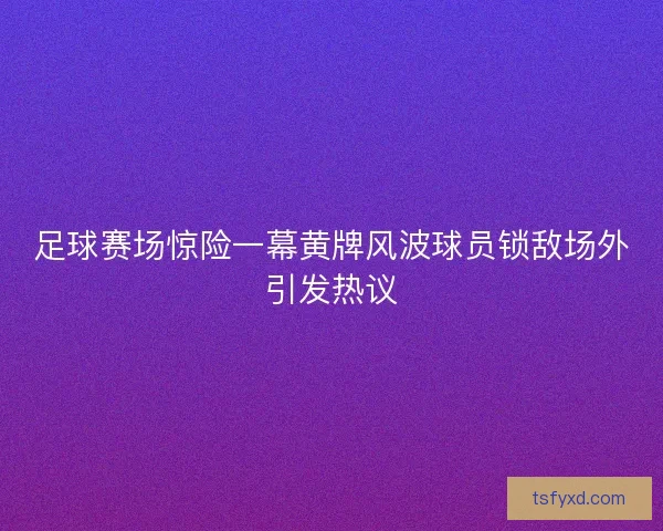 足球赛场惊险一幕黄牌风波球员锁敌场外引发热议