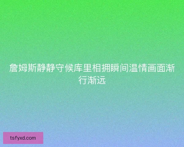 詹姆斯静静守候库里相拥瞬间温情画面渐行渐远